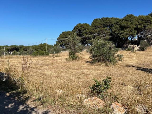 Terreno in vendita a Montegrappa, Puglia