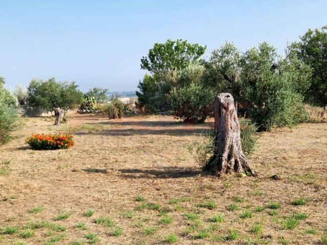 Terreno in vendita a Montegrappa, Puglia