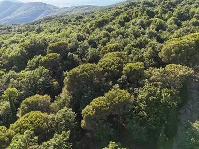 Terreno in vendita a La Cima, Tuoro sul Trasimeno