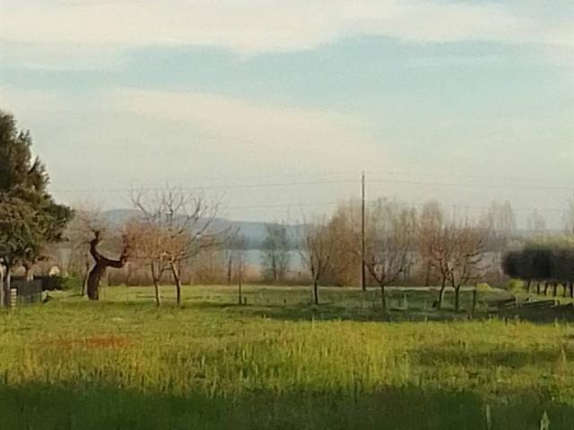 Terreno in vendita a Tuoro Sul Trasimeno, Umbria