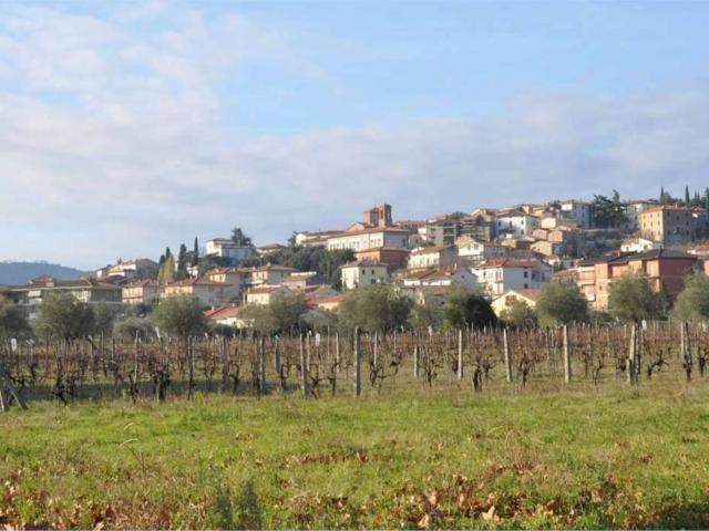 Terreno in vendita a Tuoro Sul Trasimeno, Umbria