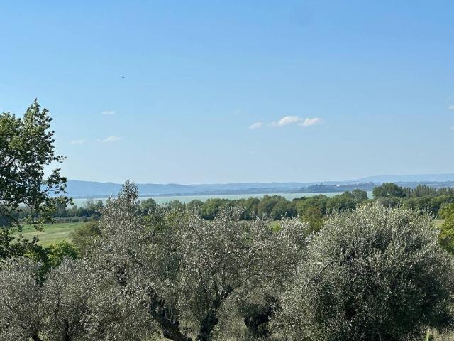Terreno in vendita a Tuoro Sul Trasimeno, Umbria