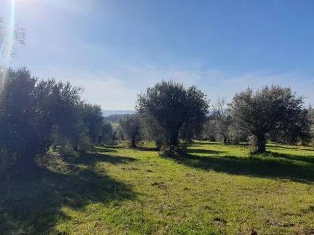 Terreno in vendita a Pieve Confini, Tuoro sul Trasimeno