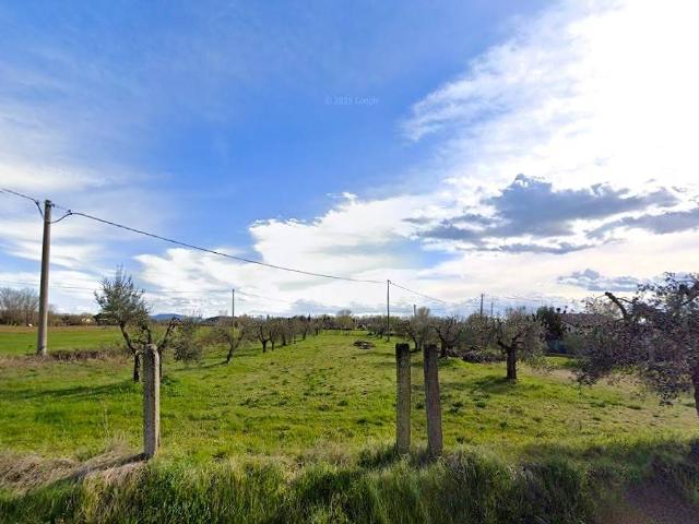 Terreno in vendita a Tuoro Sul Trasimeno, Umbria