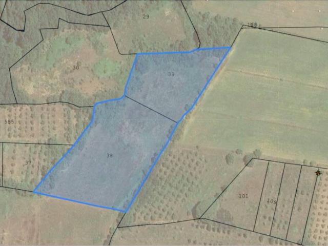 Terreno in vendita a Tuoro Sul Trasimeno, Umbria
