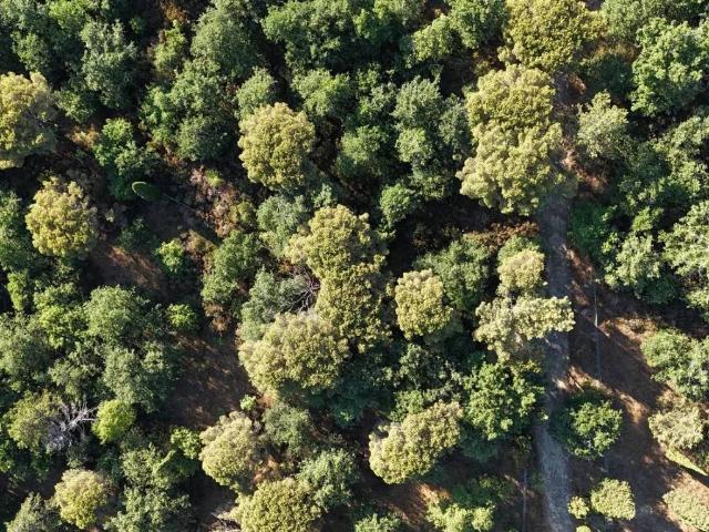 Terreno in vendita a La Cima, Tuoro Sul Trasimeno