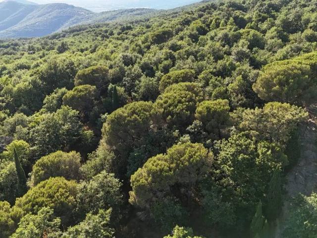 Terreno in vendita a La Cima, Tuoro Sul Trasimeno