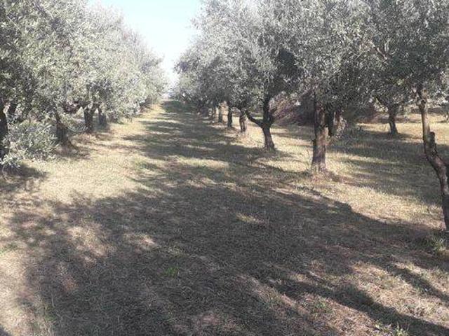 Terreno in vendita a Turrivalignani, Abruzzo