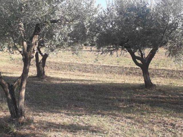 Terreno in vendita a Turrivalignani, Abruzzo