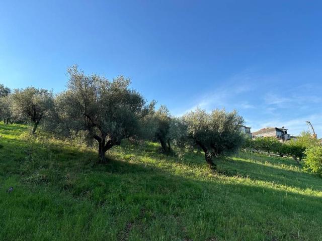 Terreno in vendita a Turrivalignani, Abruzzo