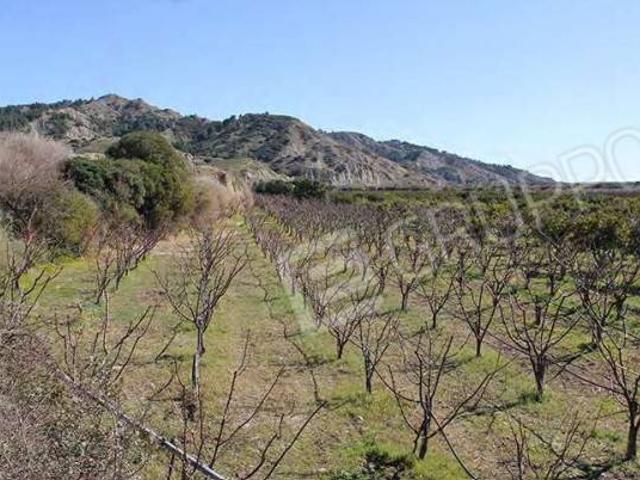 Terreno in vendita a Tursi, Basilicata
