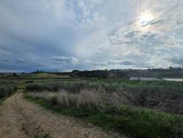 Terreno in vendita a Anglona, Tursi