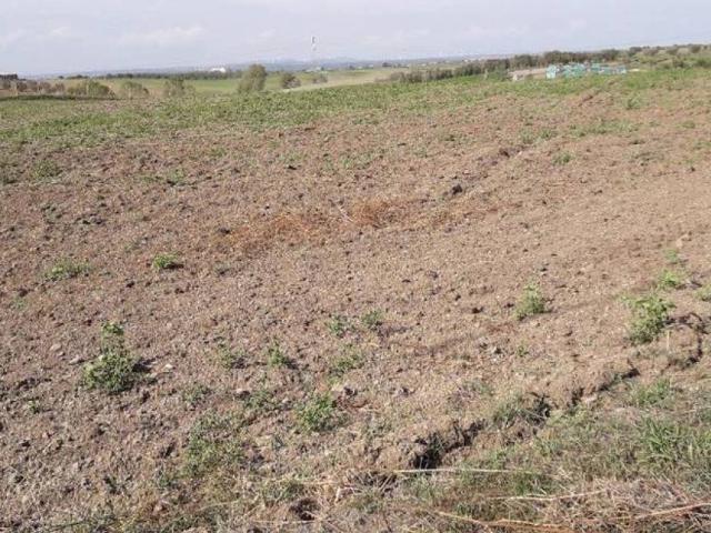 Terreno in vendita a Tuscania, Lazio