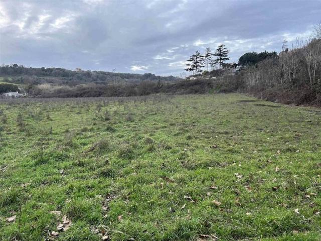 Terreno in vendita a Tuscania, Lazio