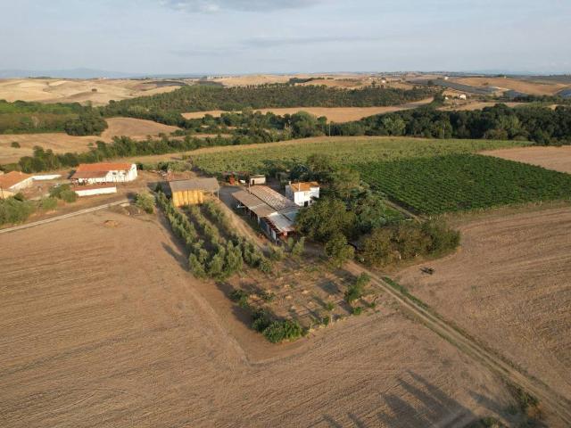 Terreno in vendita a Tuscania, Lazio