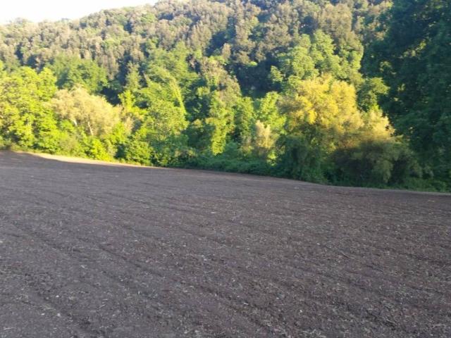 Terreno in vendita a Tuscania, Lazio