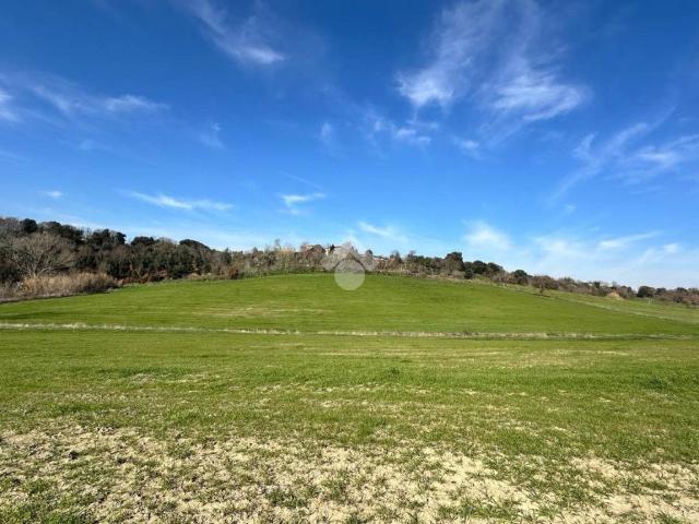 Terreno in vendita a Tuscania, Lazio