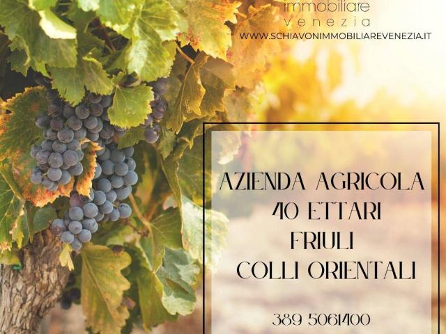 Terreno in vendita a Casali Osellin, Reana Del Roiale