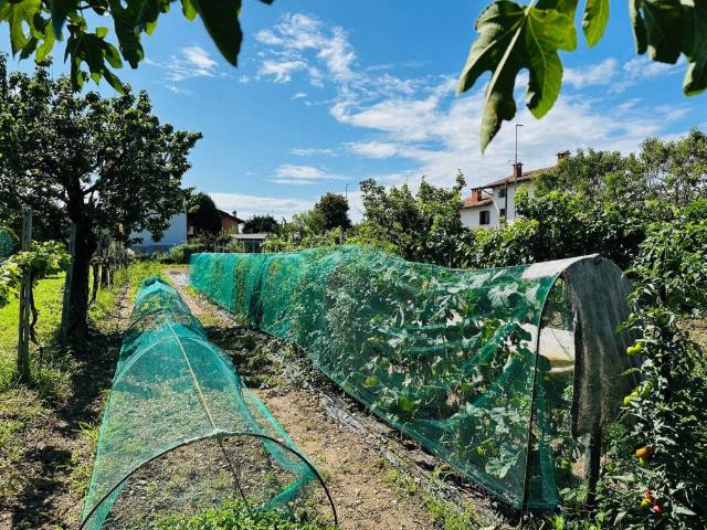 Terreno in vendita a Reana Del Roiale, Friuli-Venezia Giulia