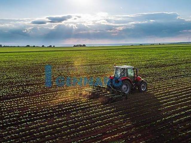 Terreno in vendita a Reana Del Roiale, Friuli-Venezia Giulia