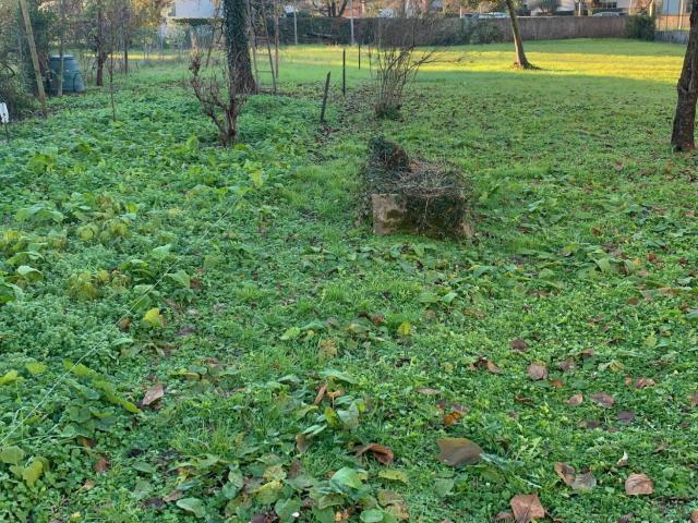Terreno in vendita a Reana Del Roiale, Friuli-Venezia Giulia