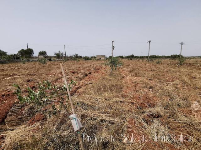 Terreno in vendita a Puglia, Lecce