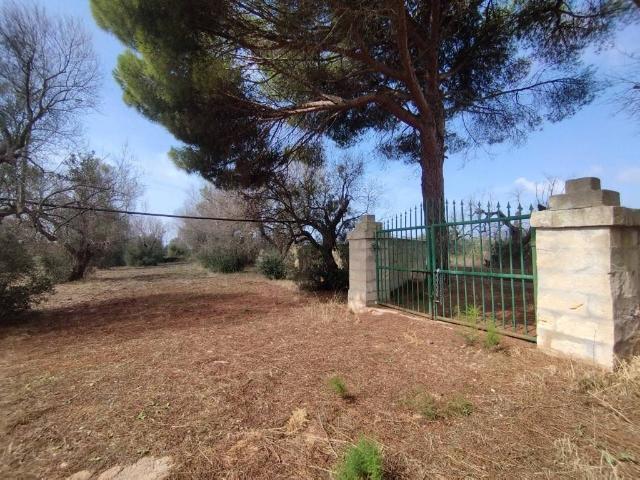 Terreno in vendita a Puglia, Lecce