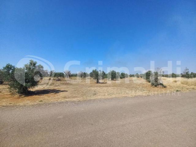 Terreno in vendita a Puglia, Lecce