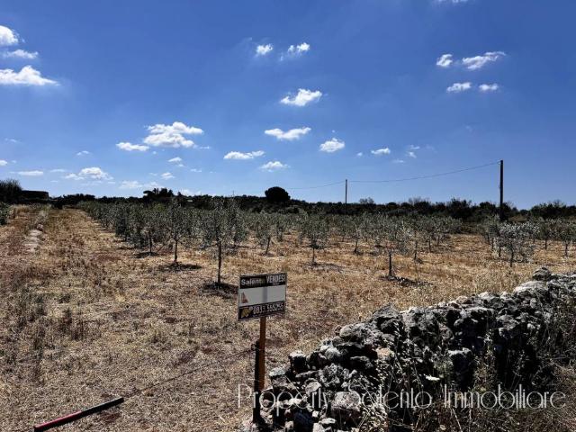 Terreno in vendita a Puglia, Lecce