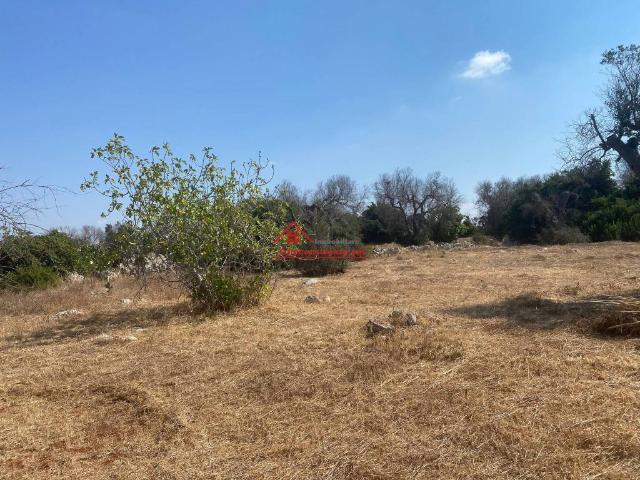 Terreno in vendita a Puglia, Lecce