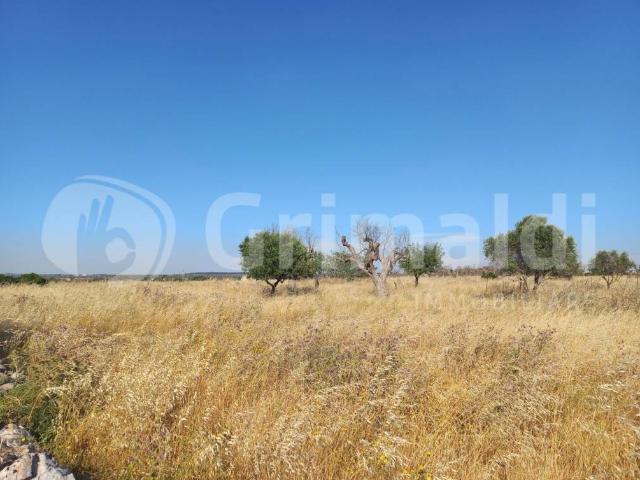 Terreno in vendita a Puglia, Lecce