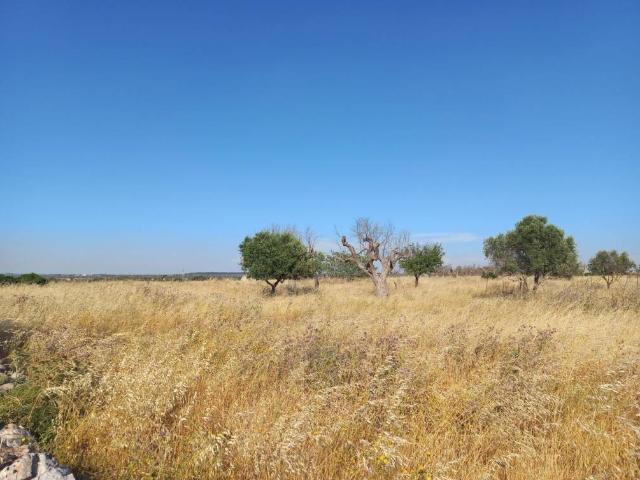 Terreno in vendita a Ugento, Lecce