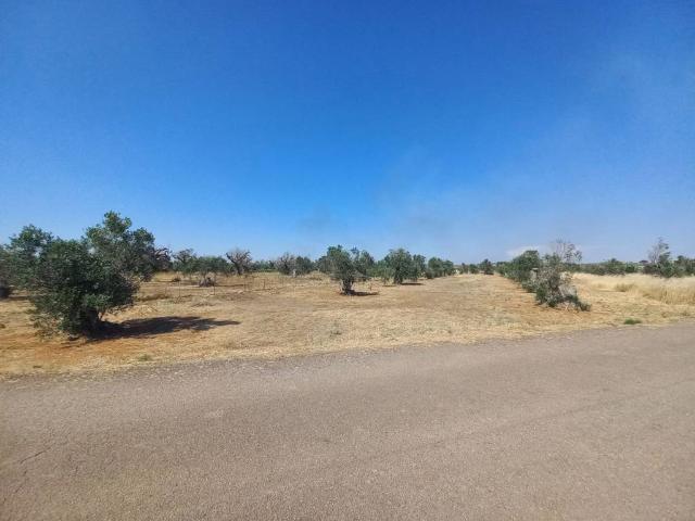 Terreno in vendita a Ugento, Lecce