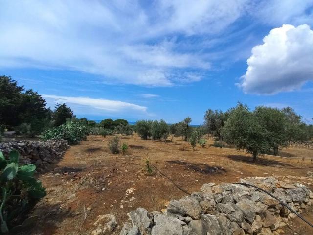 Terreno in vendita a Fontanelle, Ugento