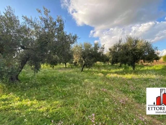 Terreno in vendita a Puglia, Lecce