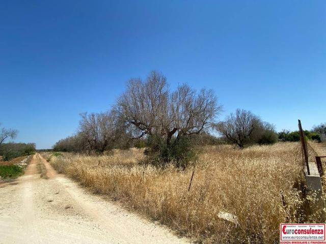 Terreno in vendita a Puglia, Lecce