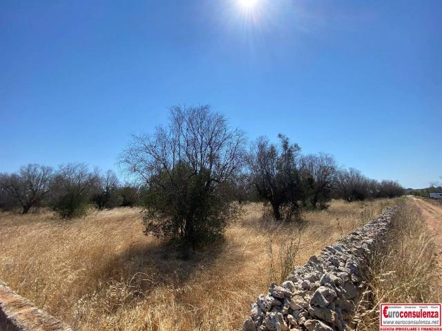 Terreno in vendita a Puglia, Lecce