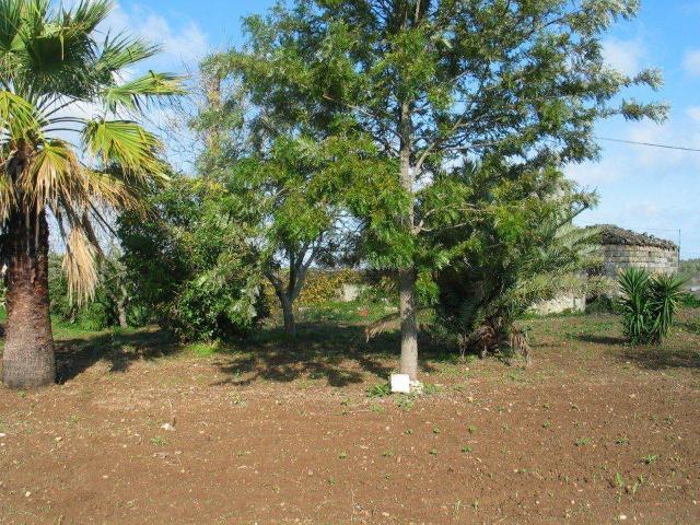 Terreno in vendita a Puglia, Lecce