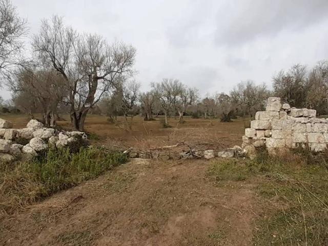 Terreno in vendita a Puglia, Lecce