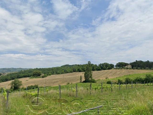 Terreno in vendita a Umbertide, Umbria