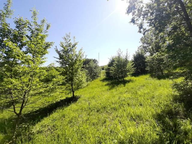 Terreno in vendita a Umbertide, Umbria