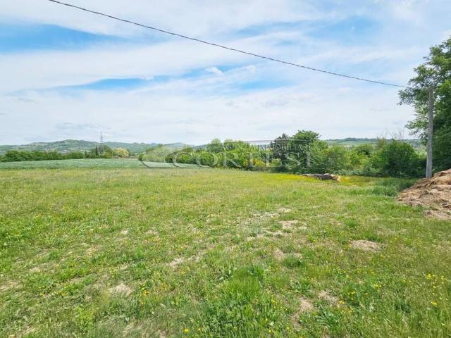 Terreno in vendita a Umbertide, Umbria