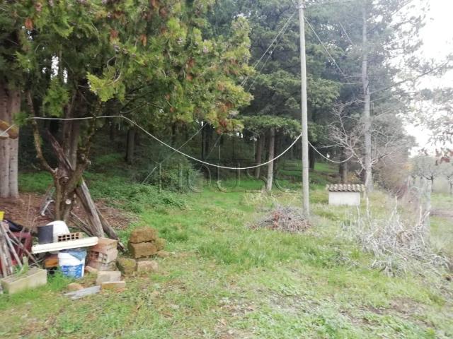 Terreno in vendita a Umbertide, Umbria