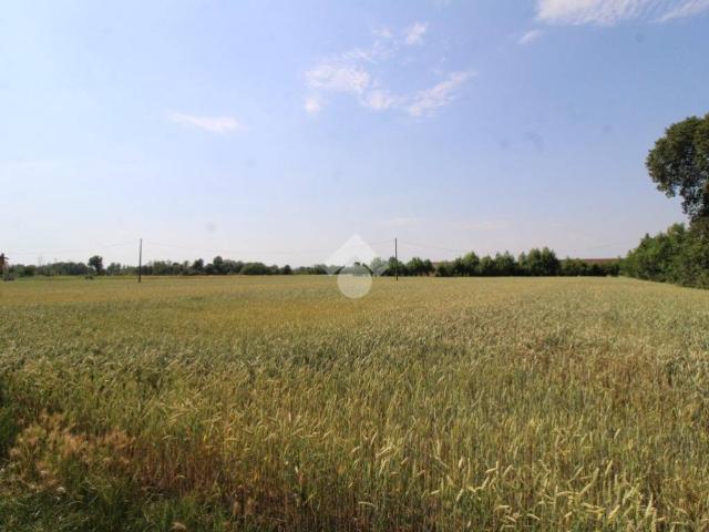 Terreno in vendita a Urago D'oglio, Lombardia
