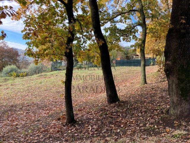 Terreno in vendita a Trasanni, Urbino