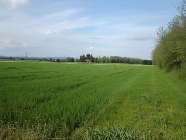 Terreno in vendita a Urgnano, Lombardia