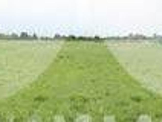 Terreno in vendita a Urgnano, Lombardia