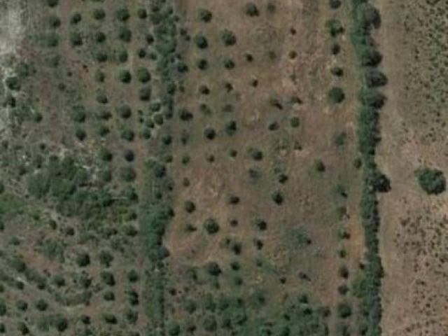 Terreno in vendita a Usini, Sardigna/Sardegna