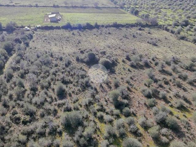 Terreno in vendita a Usini, Sardigna/Sardegna