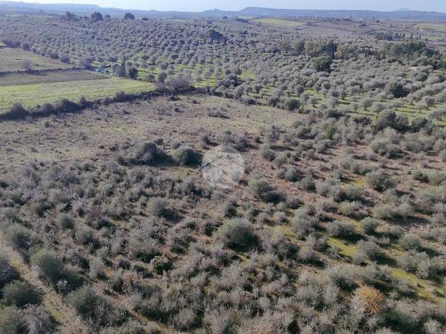 Terreno in vendita a Usini, Sardigna/Sardegna